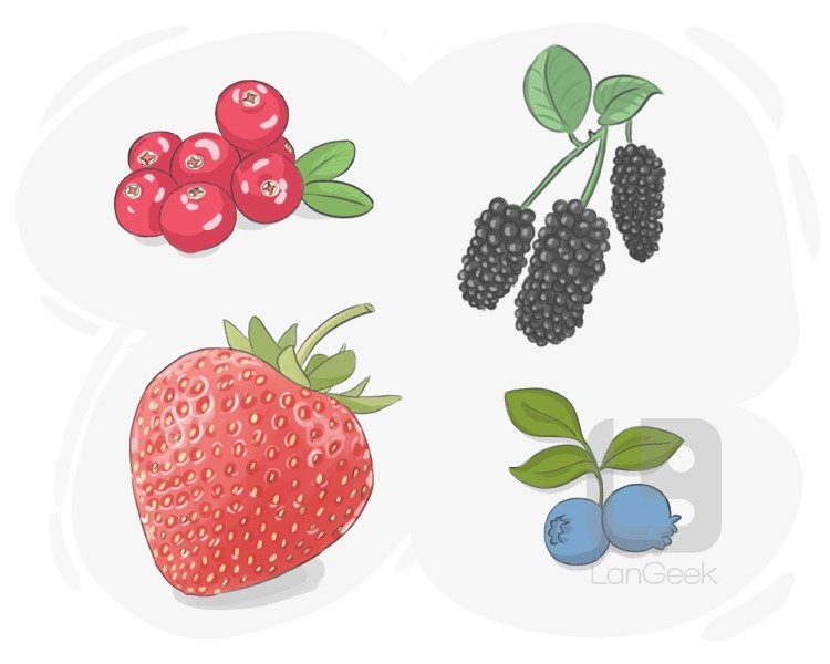 berry definition and meaning