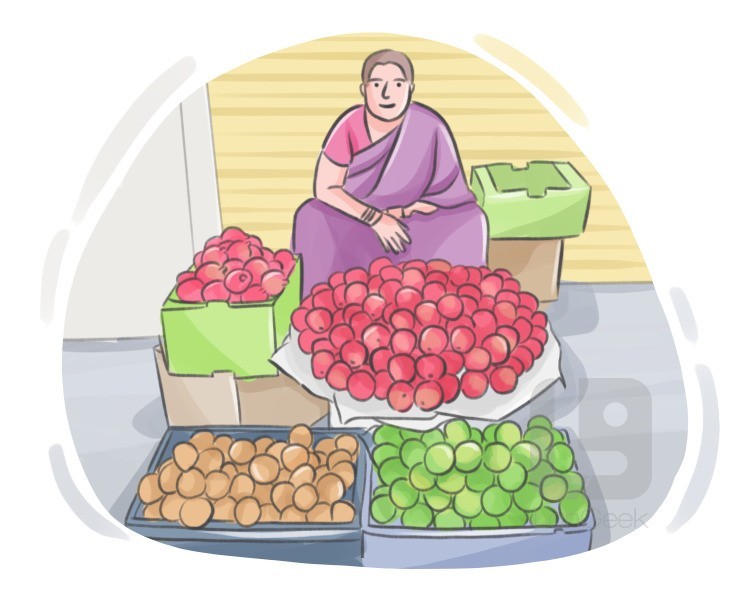 peddler definition and meaning