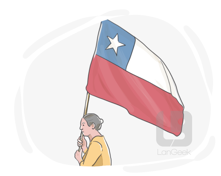 Chilean definition and meaning