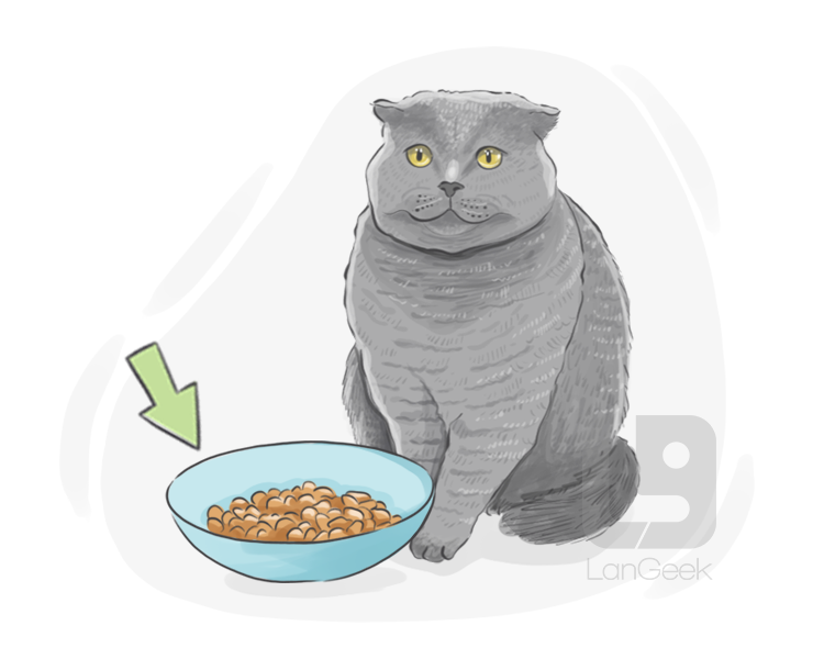 cat food definition and meaning