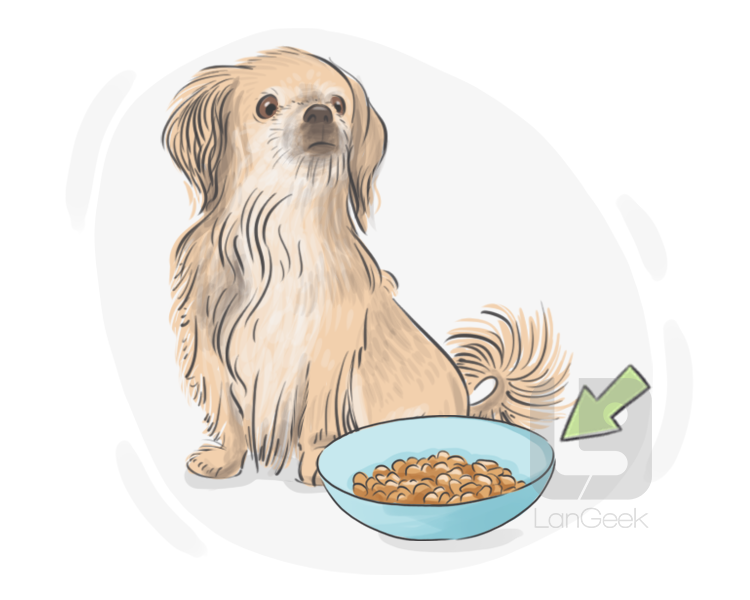 dog food definition and meaning