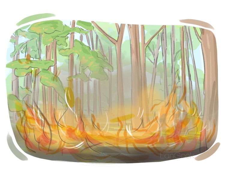 forest fire definition and meaning