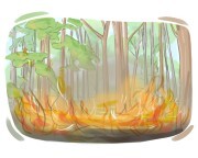 forest fire