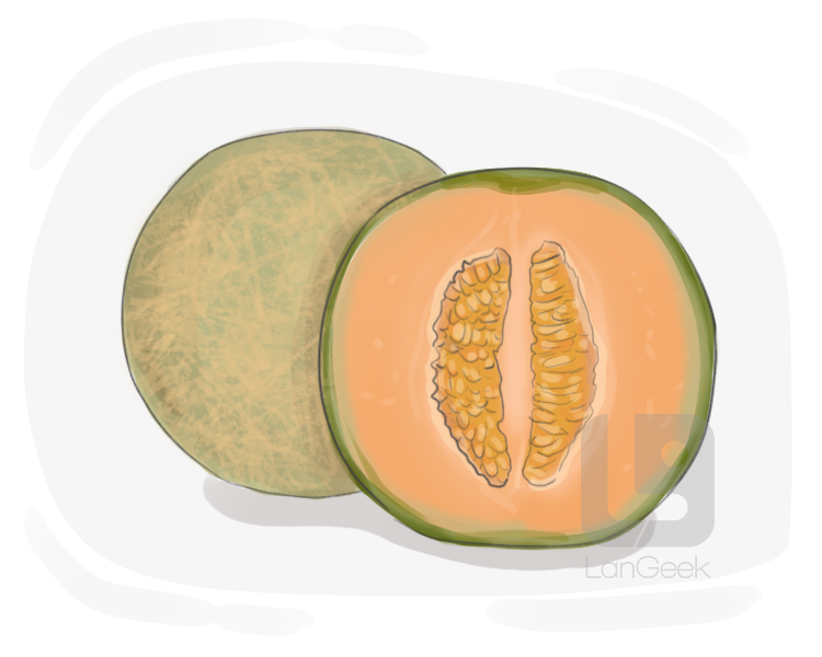 sweet melon definition and meaning