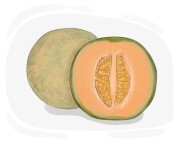 muskmelon