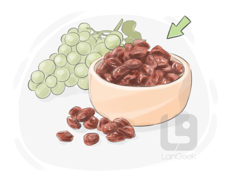 raisin definition and meaning