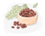 raisin