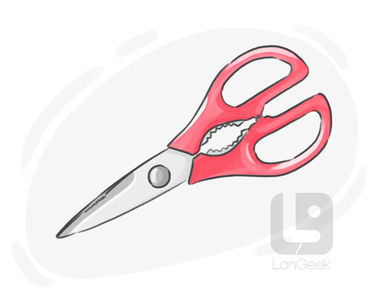 kitchen shears definition and meaning