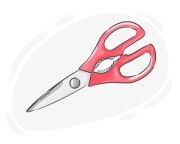 kitchen scissors