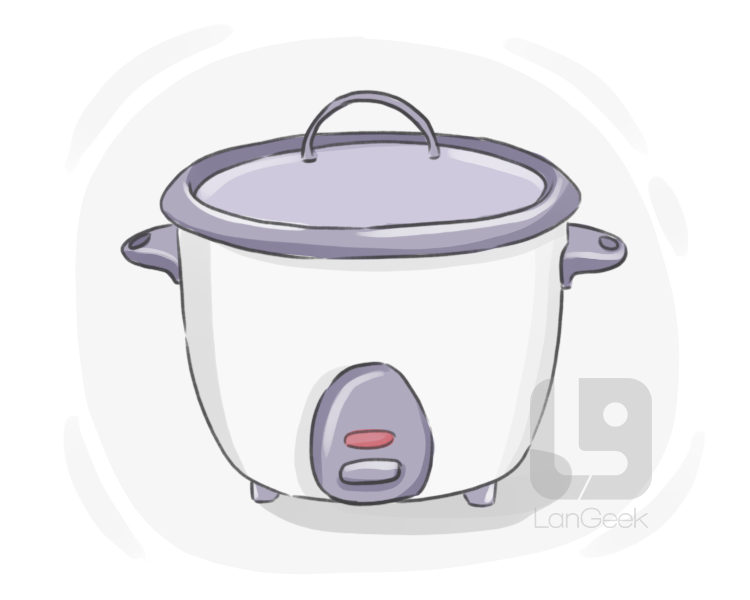 rice steamer definition and meaning