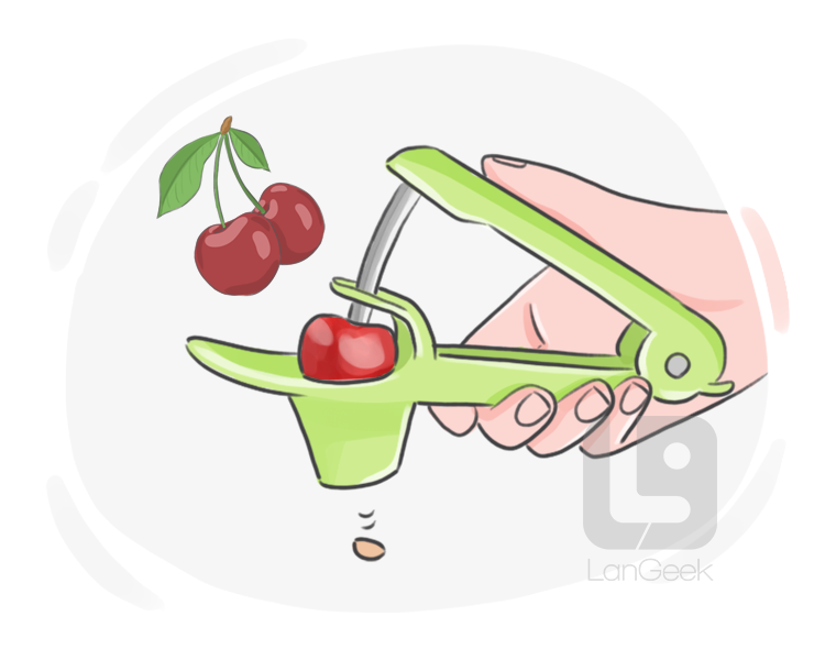 cherry pitter definition and meaning