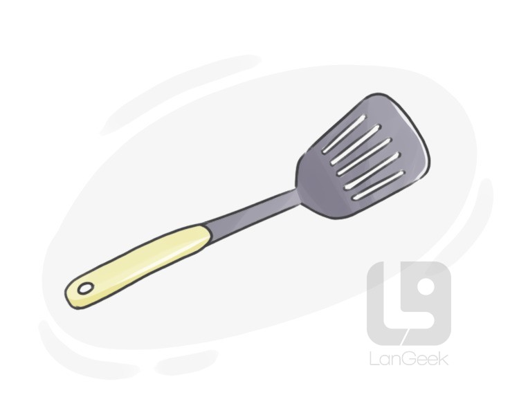 fish slice definition and meaning