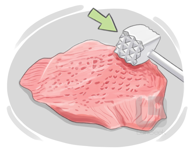 meat tenderizer definition and meaning