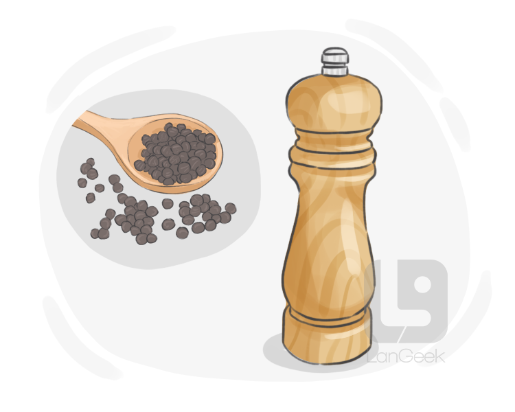 pepper grinder definition and meaning