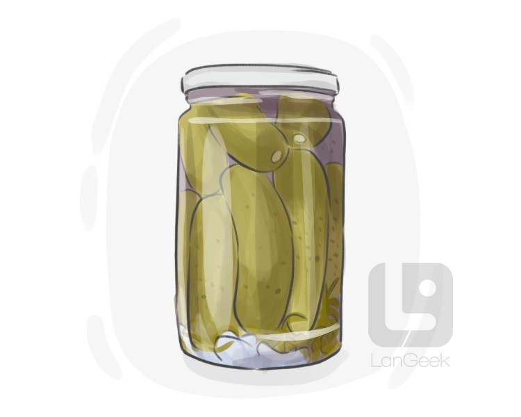 pickled definition and meaning