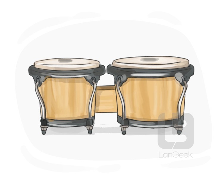 bongo drum definition and meaning