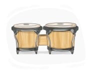 bongo drum