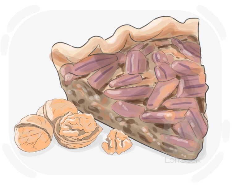 Definition & Meaning of "Pecan pie" LanGeek