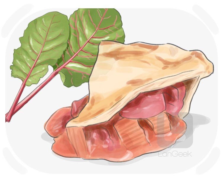 rhubarb pie definition and meaning