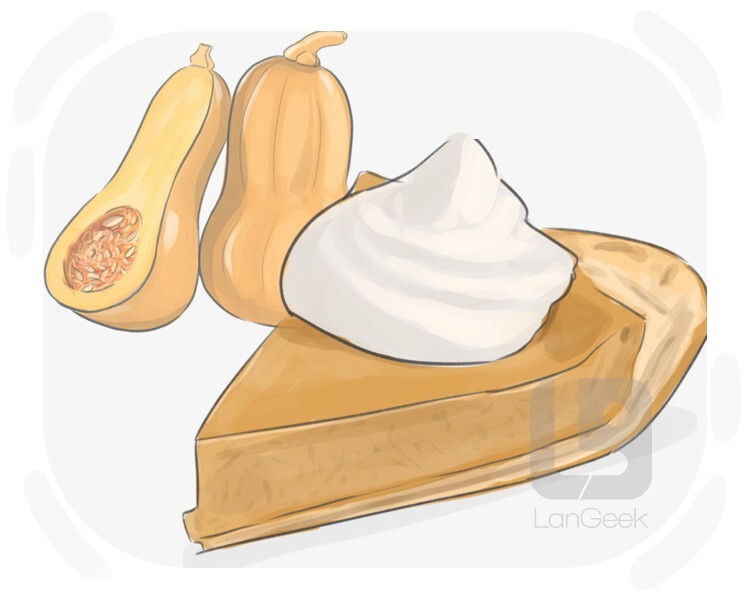 Definition & Meaning of "Squash pie" LanGeek