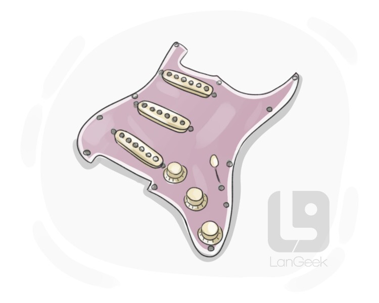 pickguard definition and meaning