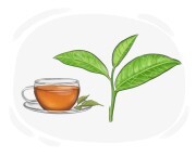 tea leaf