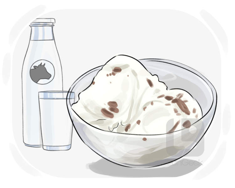 ice milk definition and meaning