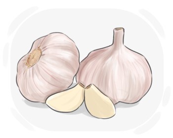 garlic