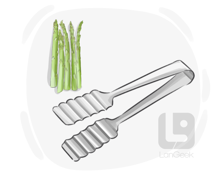 asparagus tongs definition and meaning
