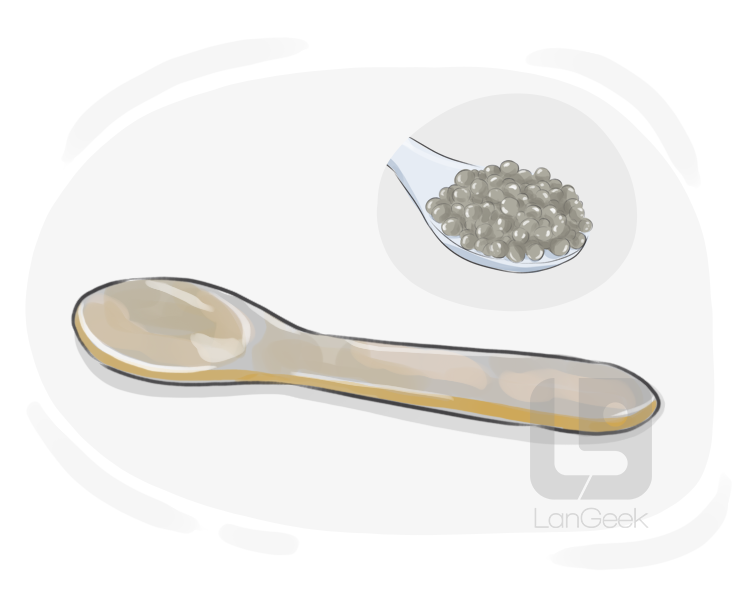 caviar spoon definition and meaning