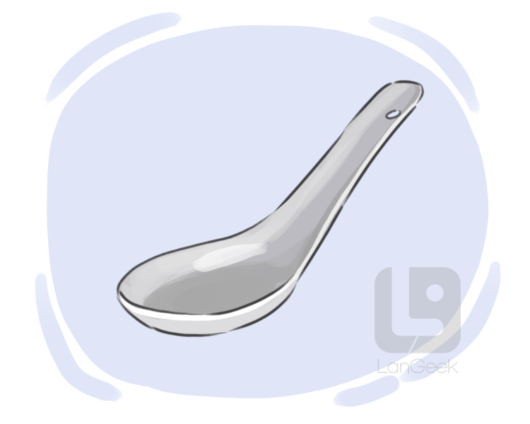 Chinese spoon definition and meaning