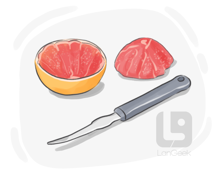 grapefruit knife definition and meaning