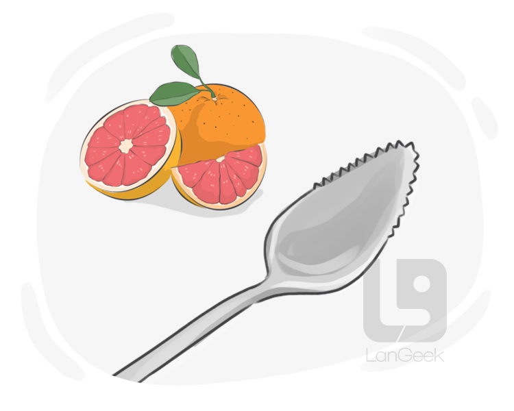 grapefruit spoon definition and meaning