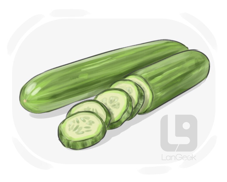 Definition & Meaning of "Cucumber" LanGeek