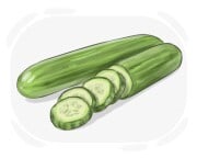 cucumber
