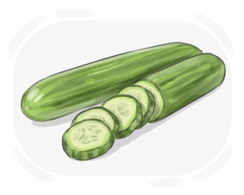 cucumber