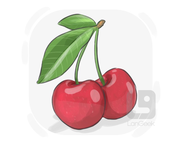 cherry definition and meaning