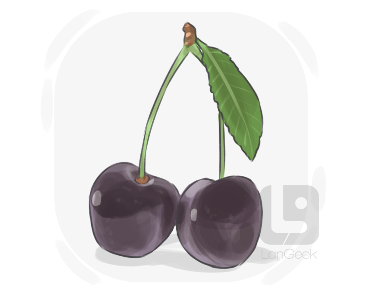 black cherry definition and meaning