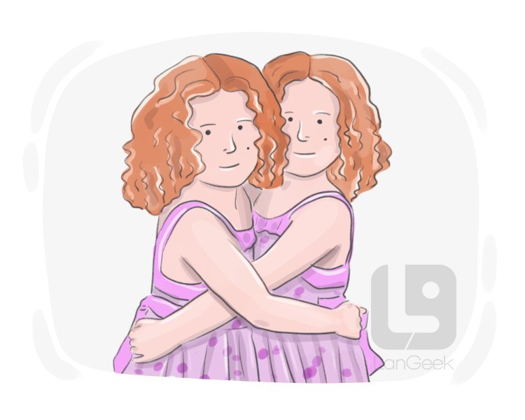 identical twin definition and meaning