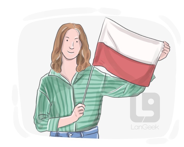 polish definition and meaning