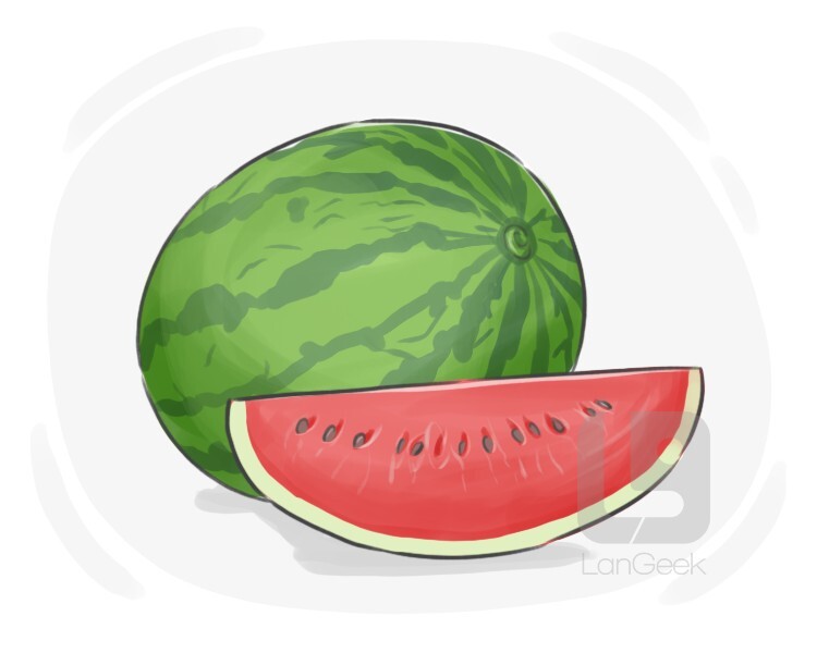 Definition & Meaning of "Watermelon" LanGeek