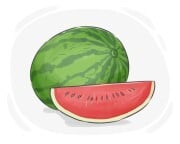 watermelon