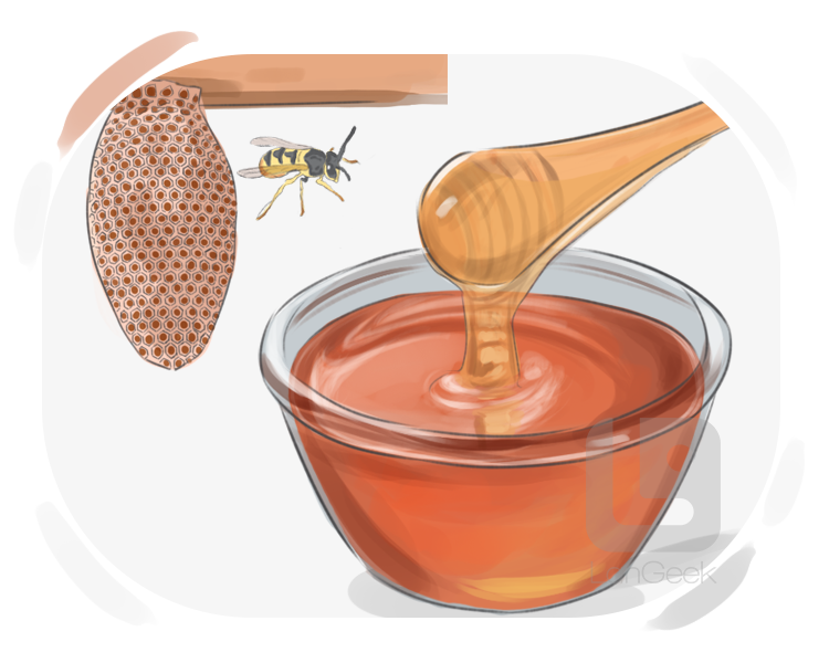 honey definition and meaning