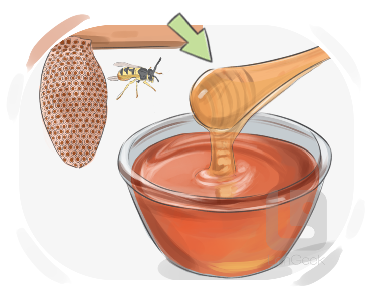 honey dipper definition and meaning