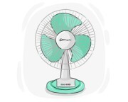 fan