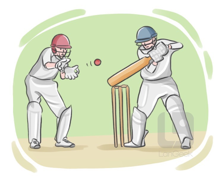 cricketer definition and meaning