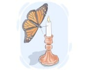 like a moth to a flame