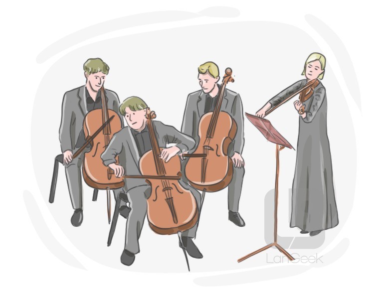 chamber orchestra definition and meaning