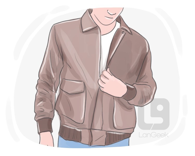 definition-meaning-of-bomber-jacket-langeek