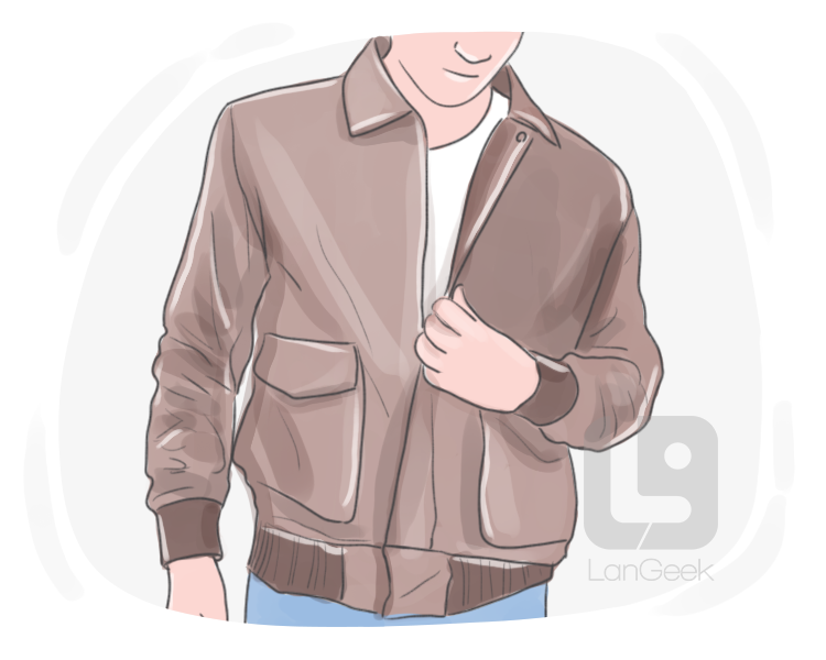 bomber jacket definition and meaning